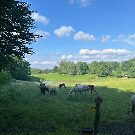 Biale * Bytów